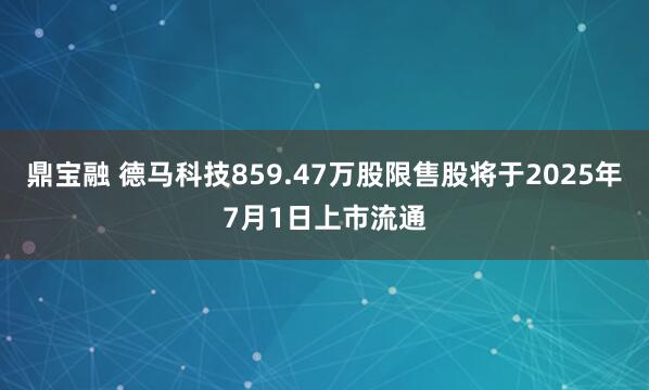 鼎宝融 德马科技859.47万股限售股将于2025年7月1日上市流通