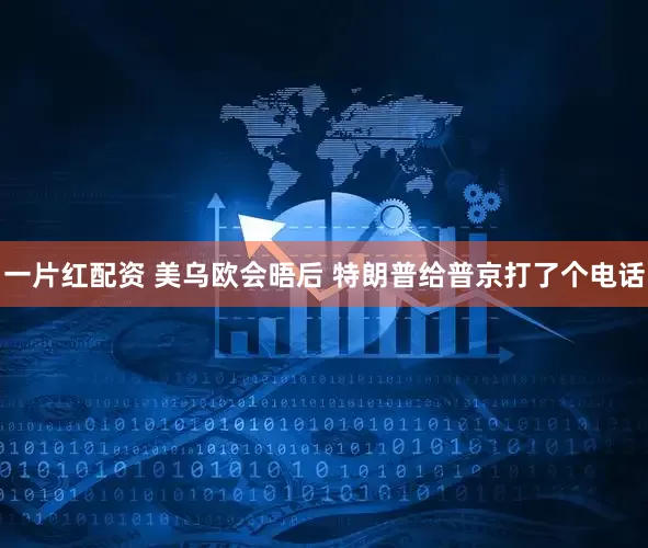 一片红配资 美乌欧会晤后 特朗普给普京打了个电话